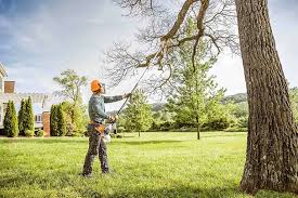 Leaf Removal in Canton, IL